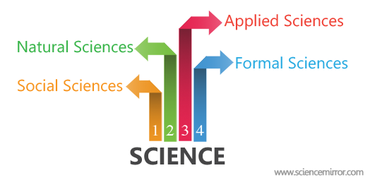 Branches Of Science Chart