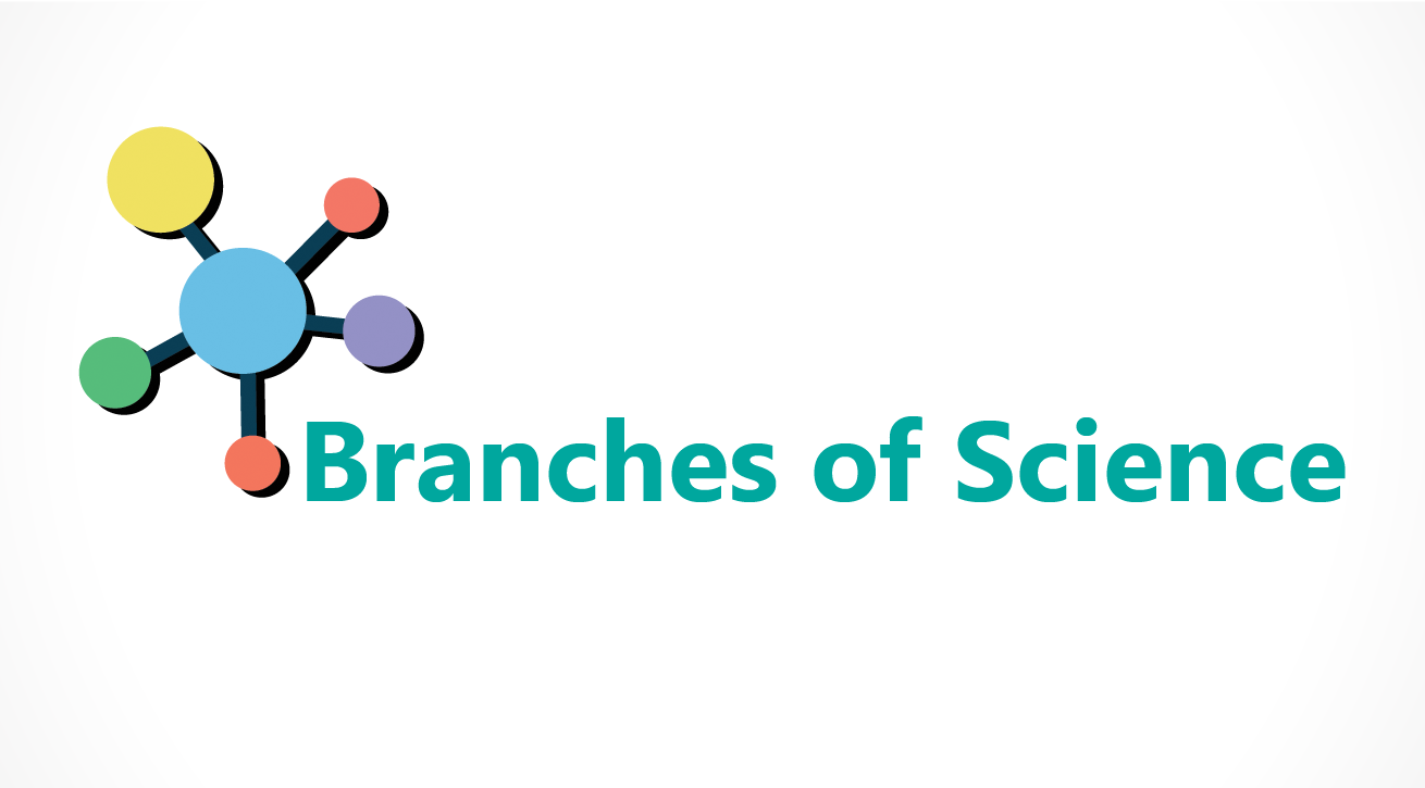 Branches Of Science Chart