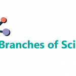 branches of science
