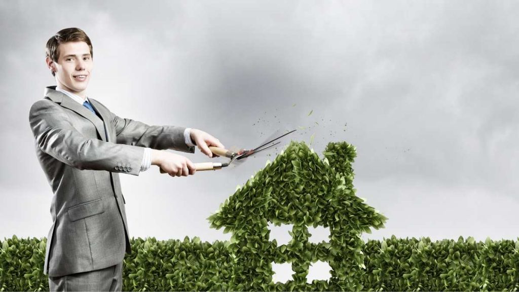 environmental consciousness of the business