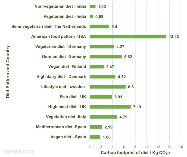The Ultimate Guide to Reduce Carbon Footprint