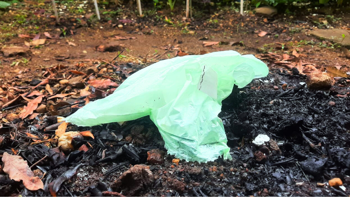 compostable bags