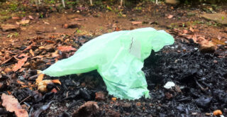 compostable bags